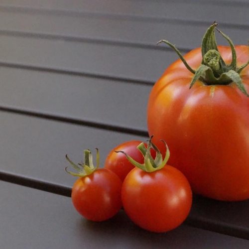 ミディトマトと大玉トマトが並んでいる写真