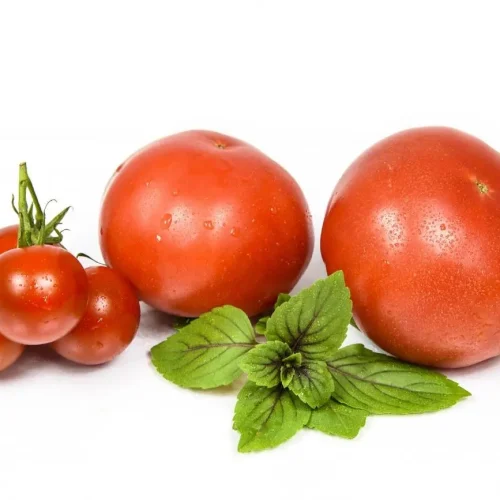 白背景に様々な大きさのトマトが並べられている写真